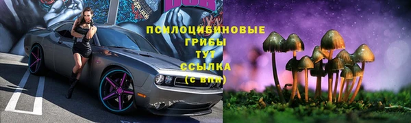 mdpv Пестово