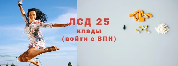 твердый Абаза